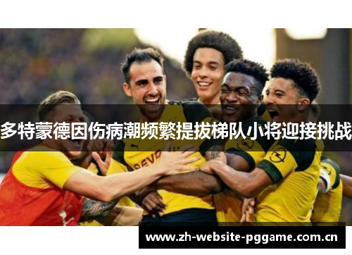 多特蒙德因伤病潮频繁提拔梯队小将迎接挑战 多特蒙德因伤病潮频繁提拔梯队小将迎接挑战